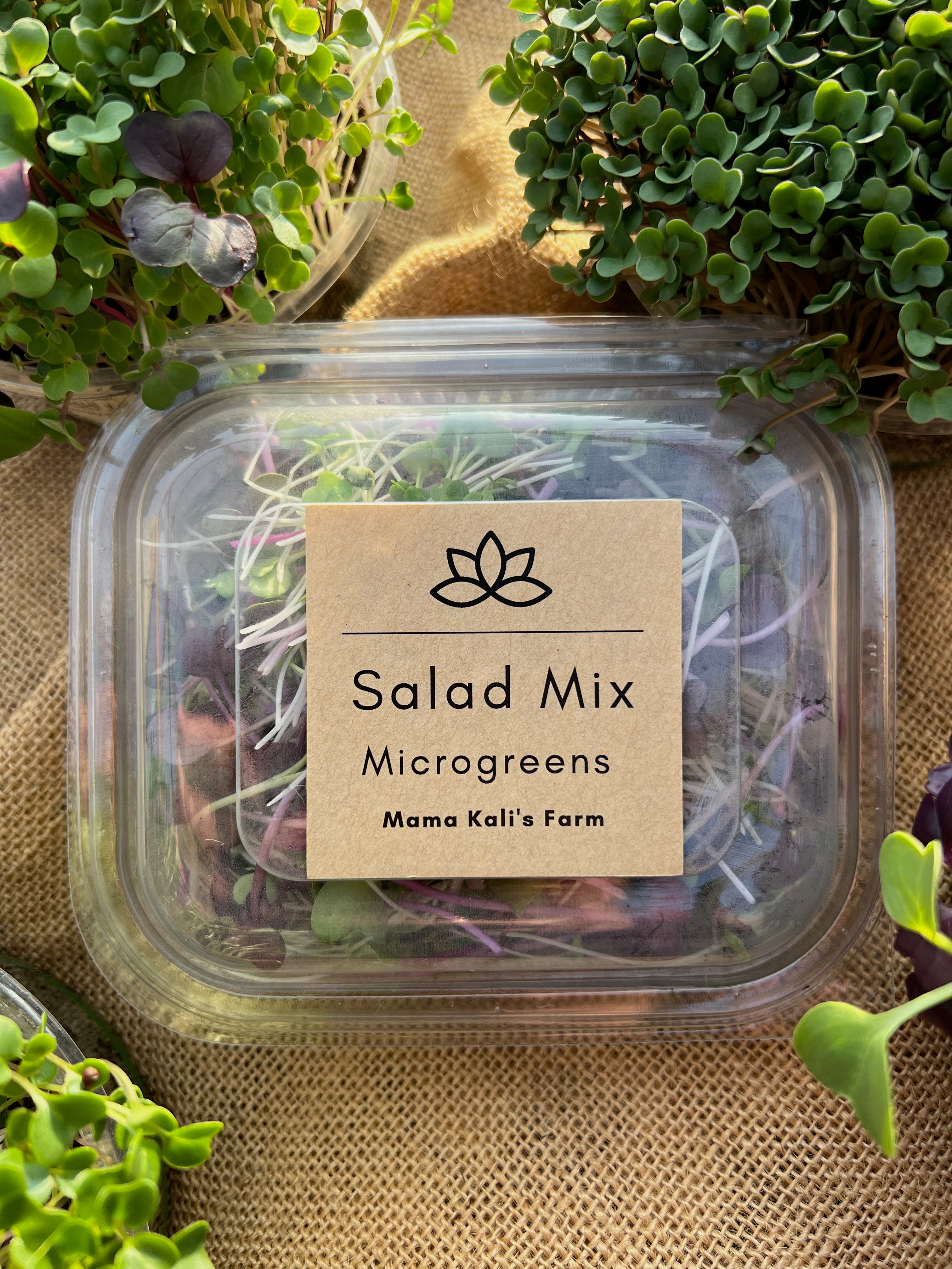 14+ Microgreen Salad Price Microgreen Salad Mix 45g – MamaKali'sFarm