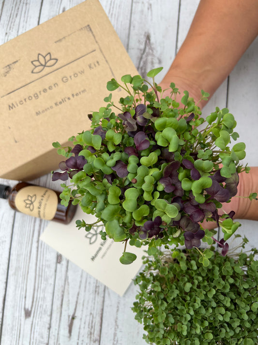 GROW YOUR OWN MICROGREENS ANSWERING YOUR TOP QUESTIONS