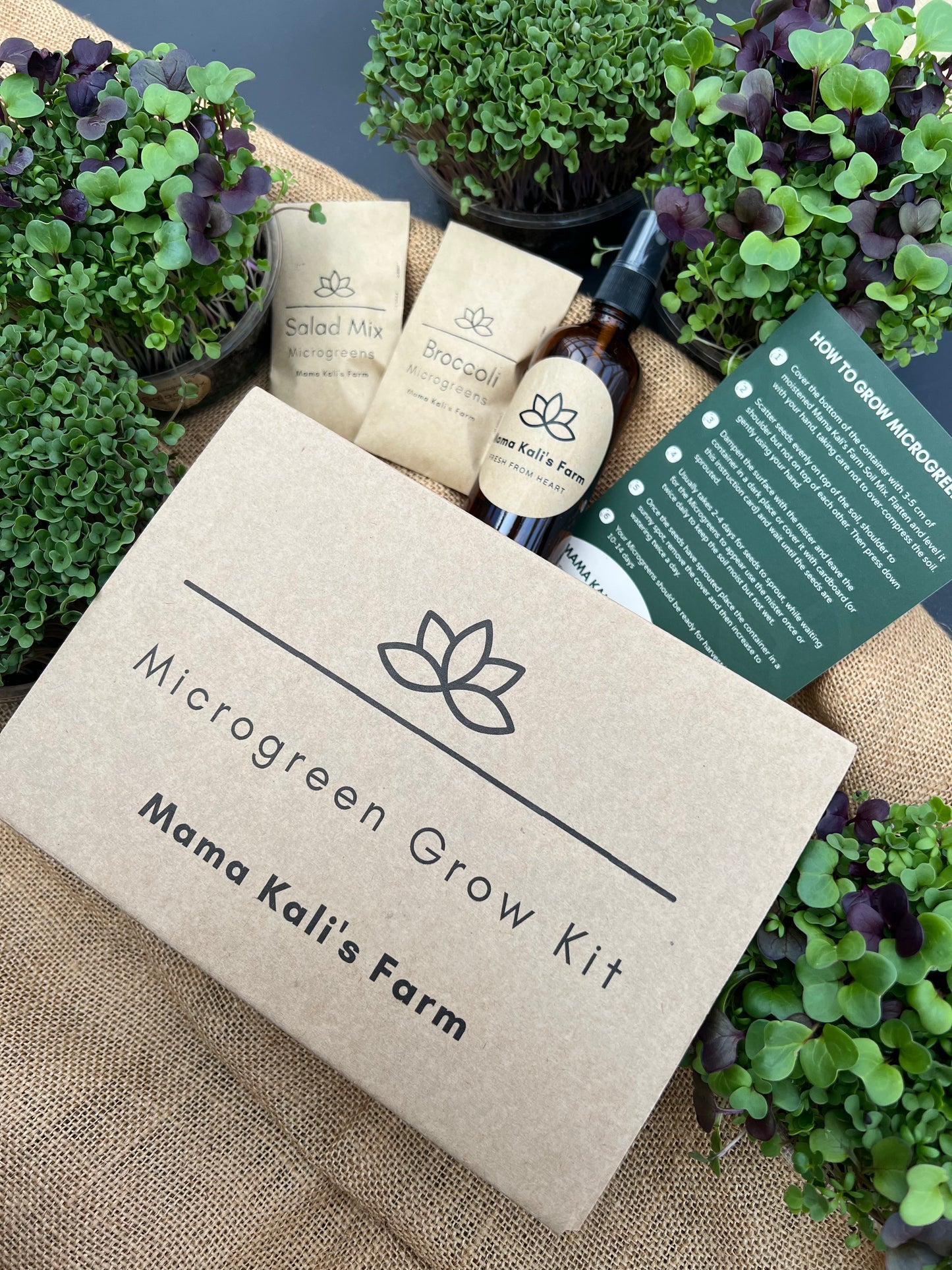 18+ Best Microgreen Soil Mix Mama Kali's Farm Microgreen Grow Kit – MamaKali'sFarm