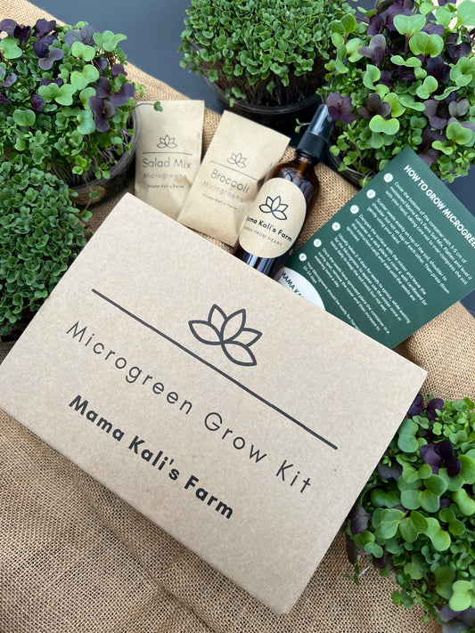 Microgreen Grow Kit
