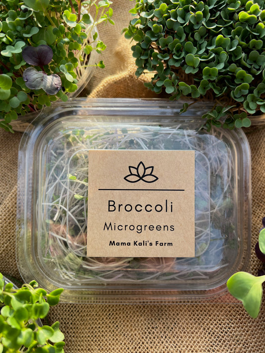 Microgreen Broccoli 45g