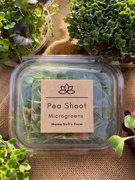 Microgreen Pea Shoot 50g
