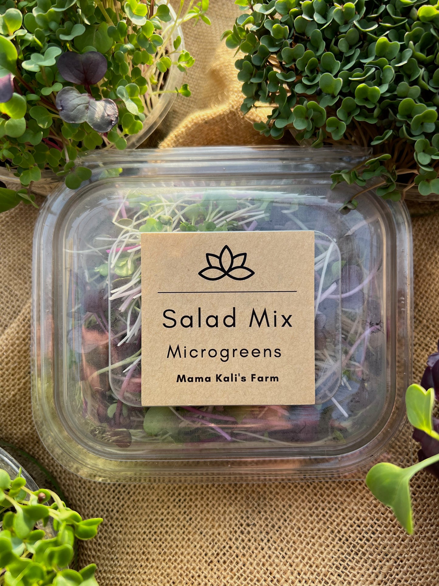 Microgreen Salad Mix 45g