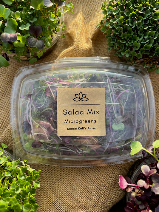 Microgreen Salad Mix 85g